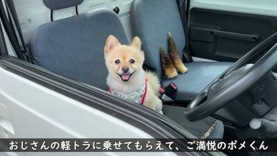 犬が『おじいちゃんおばあちゃんの家』から帰ろうとした結果…『お別れの様子』が切ないと11万再生「寂しそう…」「実家思い出した」と絶賛