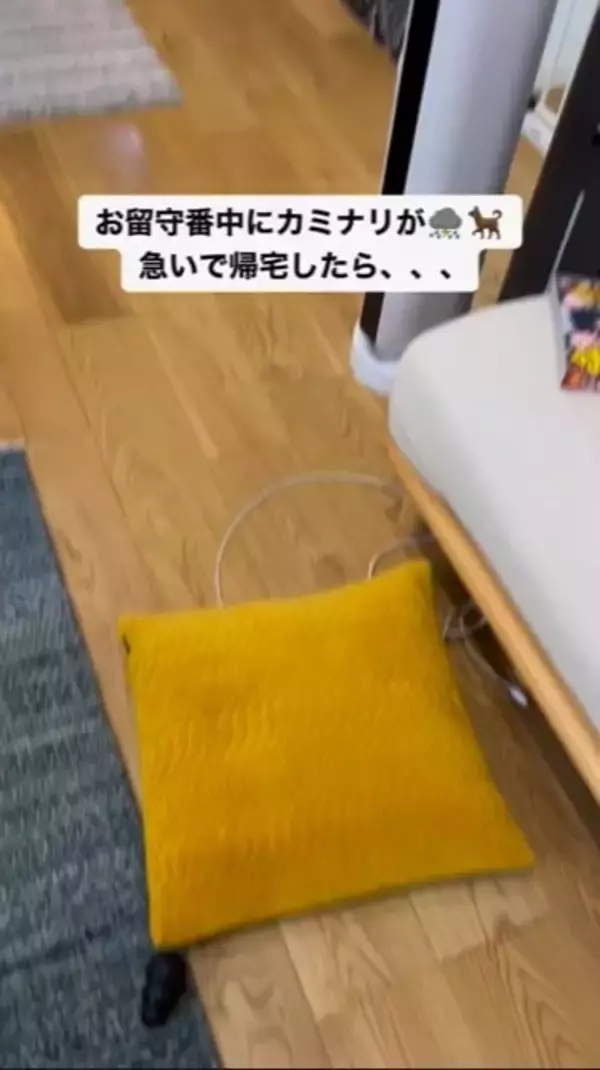 外出中に雷が鳴りだしたので急いで帰ったら、愛犬が行方不明に…まさかの『想定外な光景』が125万再生「抱きしめたい」「よく頑張った」と称賛