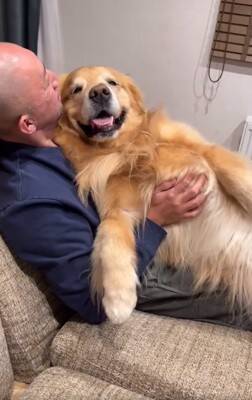 『ゴールデンレトリバーかけっこ』に愛犬が参加→最下位になったと思ったら…遅れてしまった『まさかの理由』が19万再生「得意気ｗ」と絶賛