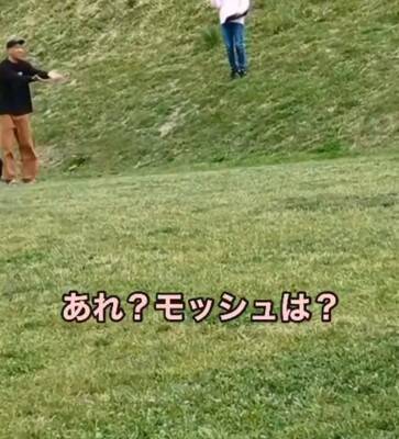 『ゴールデンレトリバーかけっこ』に愛犬が参加→最下位になったと思ったら…遅れてしまった『まさかの理由』が19万再生「得意気ｗ」と絶賛