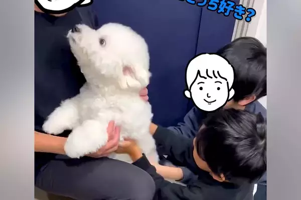 実家に行っていたパパが『2日ぶりに帰ってきた』結果→犬と再会した瞬間に…愛おしすぎる『熱烈歓迎の様子』に反響「大喜び可愛い」「声がｗ」