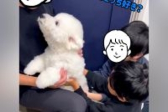 実家に行っていたパパが『2日ぶりに帰ってきた』結果→犬と再会した瞬間に…愛おしすぎる『熱烈歓迎の様子』に反響「大喜び可愛い」「声がｗ」