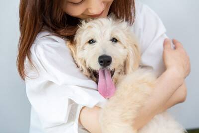 愛犬がなんだか臭う…？体臭の原因と、お家でできる簡単ニオイ対策【獣医師執筆】