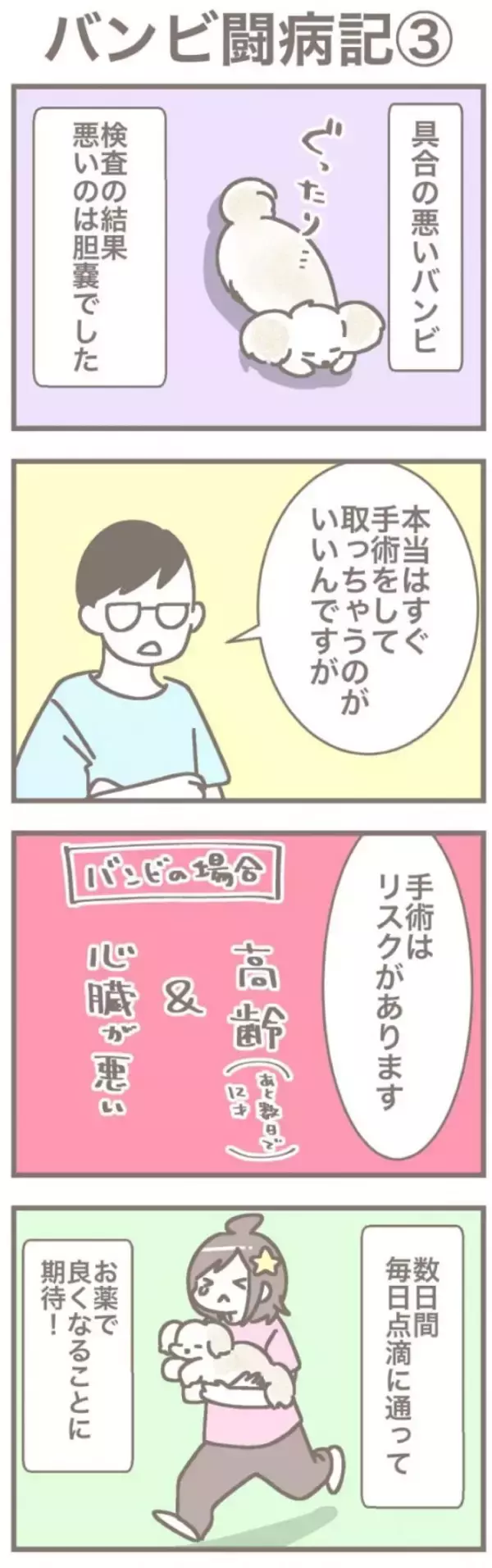 うちの王様にはどうしても抗えない【第371話】「バンビ闘病記③」