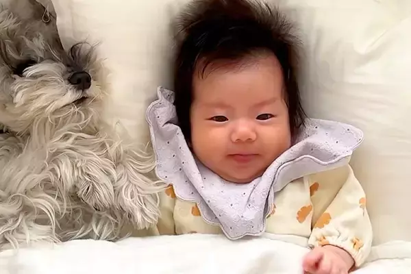 娘が赤ちゃんの頃から『8年間』見守ってきた2匹の犬→次女が生まれると…『家族愛あふれる光景』に反響「なんて可愛い四姉妹」「寄り添ってる」