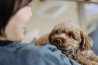 『甘えんぼうな性格の犬』がみせるサイン8選　飼い主がすべき接し方や注意点まで解説