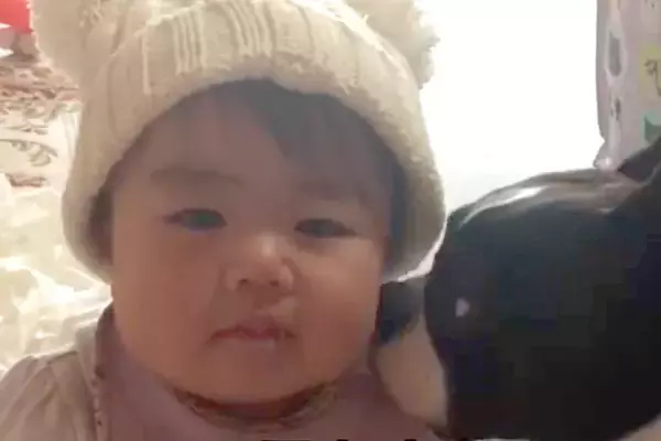 赤ちゃんのことが大好きな犬→7年後…大きくなっても変わらない『関係性』が素敵すぎると12万再生「かわいいの渋滞」「優しいお兄ちゃん」