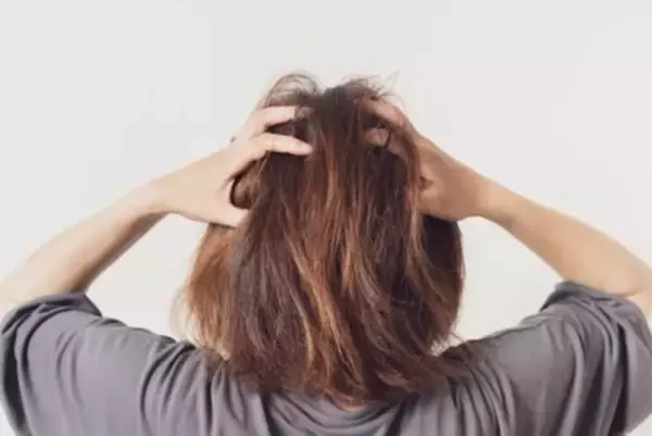 犬の『しつけが下手な人』がやりがちな絶対NG行為５選　信頼関係が崩壊する飼い主の行動まで