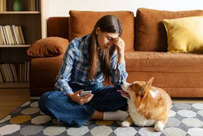 犬が飼い主を『慰めている』ときにみせるサイン5つ　落ち込んでいるのが分かるの？