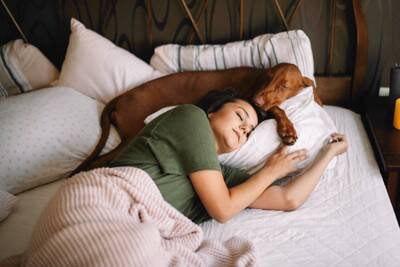 犬といっしょに寝ることは睡眠の質を下げる可能性　アメリカの心理学研究チームが1600人の成人を対象に調査