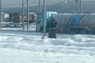 朝、散歩中の犬とパパを『こっそり迎えに行った』結果→犬が先に気づいて…愛おしすぎる光景に74万再生の反響「ひょっこりｗ」「ガン見してる」