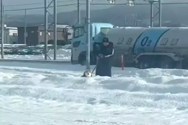 朝、散歩中の犬とパパを『こっそり迎えに行った』結果→犬が先に気づいて…愛おしすぎる光景に74万再生の反響「ひょっこりｗ」「ガン見してる」