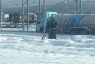 朝、散歩中の犬とパパを『こっそり迎えに行った』結果→犬が先に気づいて…愛おしすぎる光景に74万再生の反響「ひょっこりｗ」「ガン見してる」