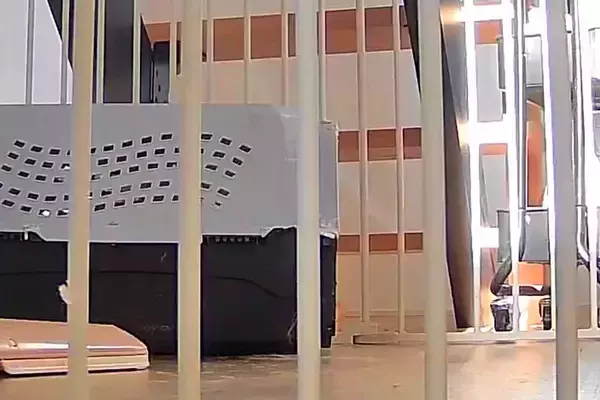 留守番中の犬を見ようと『見守りカメラ』を覗いた結果→姿が見えないと思った、次の瞬間…想定外の光景が19万表示「待たせたなｗｗ」「可愛い」