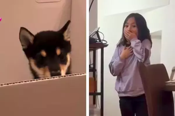 子どもたちに内緒で『子犬を飼った』結果→リビングで気が付いた瞬間…100点満点な『それぞれの反応』に反響「涙ぐんじゃうよね」「可愛すぎ」