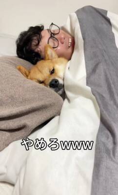 朝、犬とベッドで『不倫ごっこ』をしてみたら…まるでコントのような『まさかの対応』が284万再生「仏頂面で草」「悪い男の顔ｗ」と爆笑の声