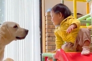 1歳の女の子が『すべり台で遊ぼうとした』結果→なぜか『大型犬』を待っていて…可愛すぎるやり取りが17万再生「仲良し」「幸せが溢れてる」