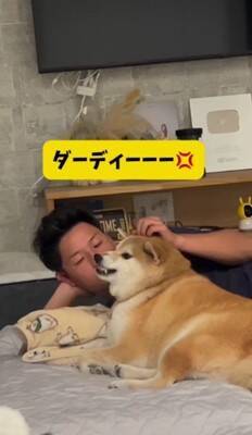 パパとママへの『犬の態度の違い』を比較してみたら…180度違う『思った以上の差』が299万再生「別の犬みたいで草」「見事な塩対応ｗｗ」