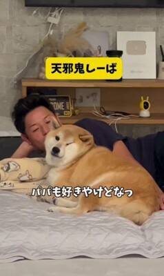 パパとママへの『犬の態度の違い』を比較してみたら…180度違う『思った以上の差』が299万再生「別の犬みたいで草」「見事な塩対応ｗｗ」