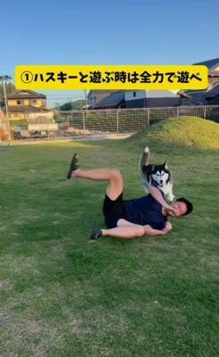 パパとママへの『犬の態度の違い』を比較してみたら…180度違う『思った以上の差』が299万再生「別の犬みたいで草」「見事な塩対応ｗｗ」