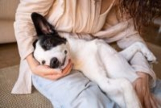 人から『愛情を受けている犬』の特徴5選　日々の暮らしが充実しているワンコの共通点とは？
