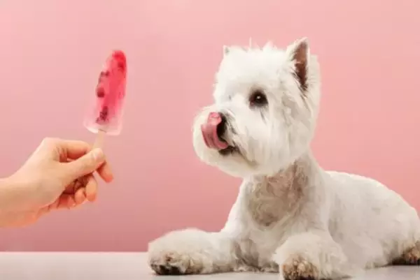 犬に絶対与えてはいけない『夏の食べ物』6選　誤って食べてしまった場合の危険な症状まで