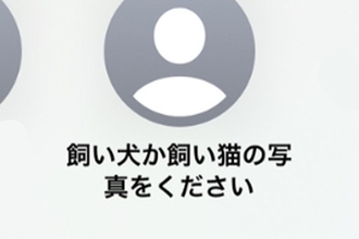 スマホで知らない人から『犬か猫の写真ください』のメッセージ→試しに愛犬を送ってみたら…『驚きの展開』が289万再生「素敵」「平和で好き」