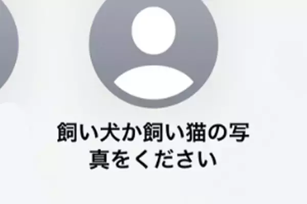 スマホで知らない人から『犬か猫の写真ください』のメッセージ→試しに愛犬を送ってみたら…『驚きの展開』が289万再生「素敵」「平和で好き」