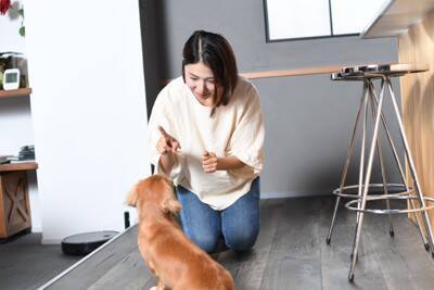 犬が『わざと可愛い行動』をみせる理由5つ　あざとい仕草をする心理や飼い主がすべき対応まで