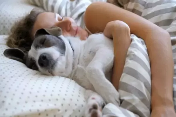 犬が『添い寝』してくる心理4選　愛犬と一緒に寝ても大丈夫？お互いに安眠するための工夫まで