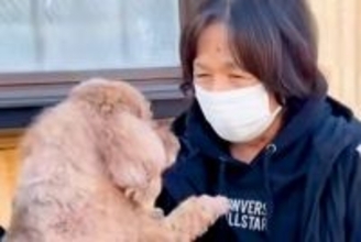 大好きなおばあちゃんとお別れをする犬→帰り際、後ろ姿を見たら…切なすぎる『バイバイの瞬間』が8万再生「大好きが伝わる」「離れたくないね」