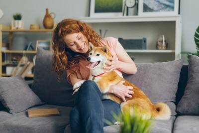 犬を危険な目に遭わせる『飼い主のタブー行為』4つ　何気ない習慣が愛犬に悪影響を与えることも…