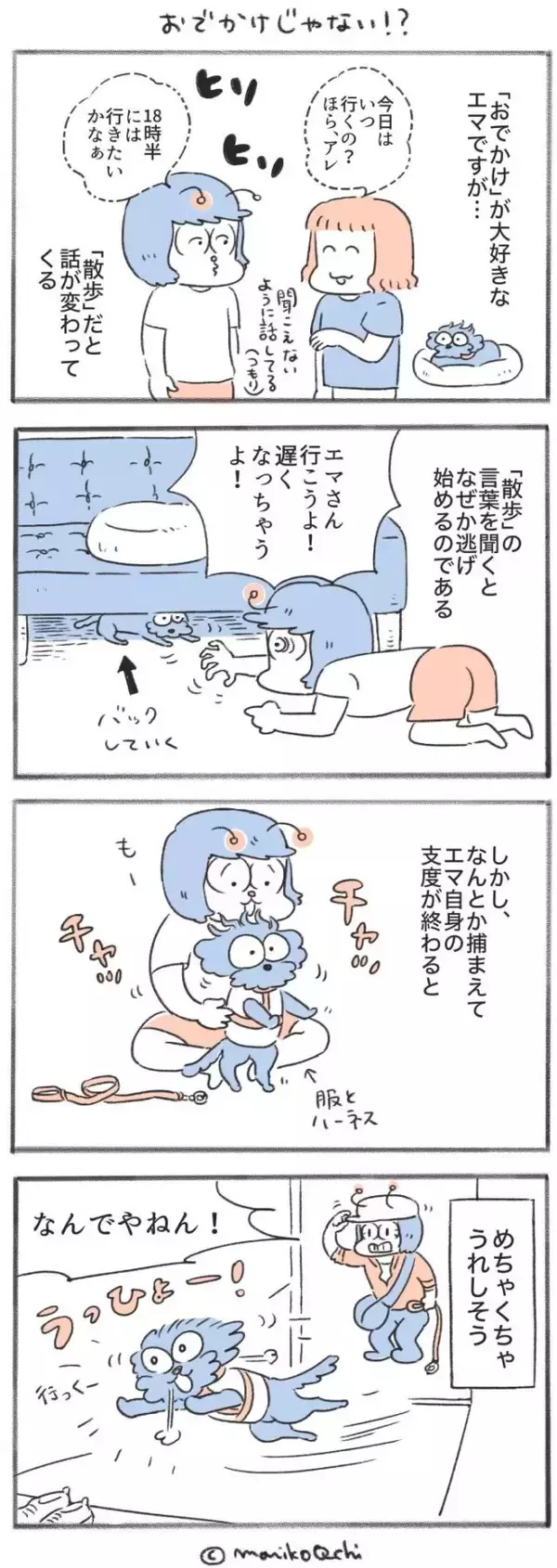 犬と暮らせば【第560話】「おでかけじゃない！？」