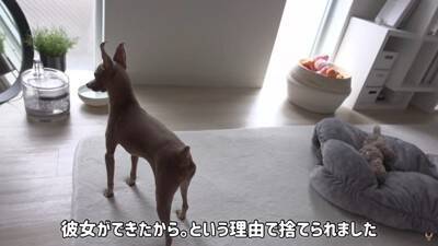 半年以上閉じ込められ『彼女ができたからいらない』と捨てられた犬…想像を絶する過去に涙が止まらないと32万再生「胸が痛い」「本当よかった」