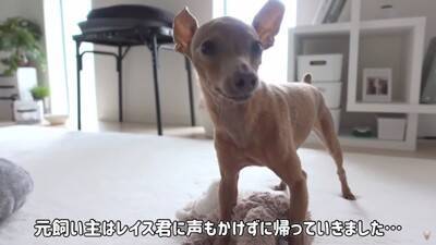 半年以上閉じ込められ『彼女ができたからいらない』と捨てられた犬…想像を絶する過去に涙が止まらないと32万再生「胸が痛い」「本当よかった」