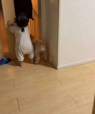 家事の最中、大泣きする赤ちゃんに我慢してもらっていたら…あまりにも尊い『犬が見守ってくれている光景』が422万再生「感動」「泣ける」