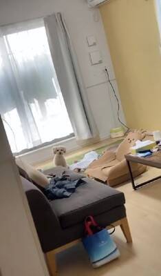 家事の最中、大泣きする赤ちゃんに我慢してもらっていたら…あまりにも尊い『犬が見守ってくれている光景』が422万再生「感動」「泣ける」