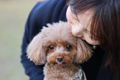 犬がやりがちな『あざとい行動』5つ　可愛い仕草をみせる本当の意味や注意点まで