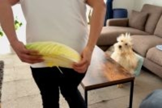 手術を乗り越え、退院した犬→お祝いに『大好きな白菜』を用意した結果…『涙腺崩壊する光景』が133万再生「私が白菜育てる」「泣いてしまう」
