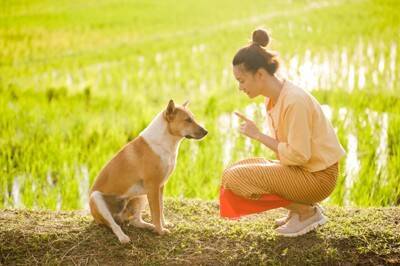 犬が反応しやすい『言葉』5選　意味を理解しているの？ワンコとの暮らしで使いたいワードとは
