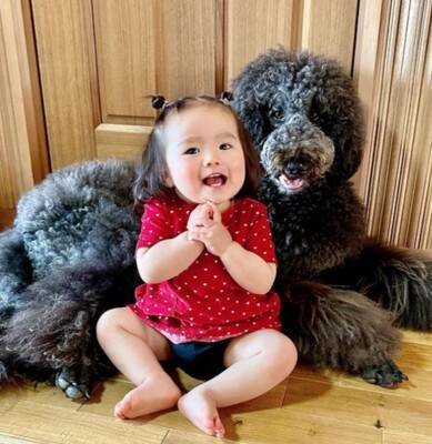 犬が"鳩胸"過ぎた結果…衝撃の『人間にしか見えない姿』が65万再生「ぬいぐるみかとｗ」「外国人イケメンにも見えてきた」爆笑の声続々