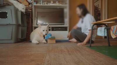 突然雷が鳴ったら、超大型犬が寝室に…見た目とは裏腹な『ビビりすぎる光景』が23万再生「大きな体なのにｗ」「逃げ込むの笑った」と反響