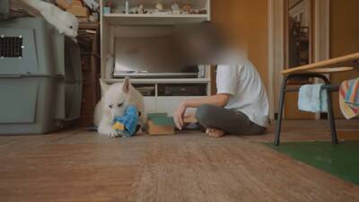 突然雷が鳴ったら、超大型犬が寝室に…見た目とは裏腹な『ビビりすぎる光景』が23万再生「大きな体なのにｗ」「逃げ込むの笑った」と反響