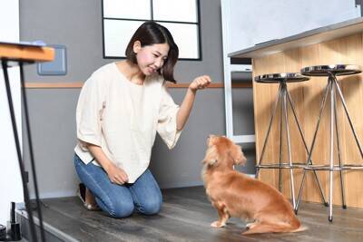 犬にやってはいけない『楽しくないしつけの方法』4つ　逆効果になるリスクから飼い主が心掛けるべきことまで