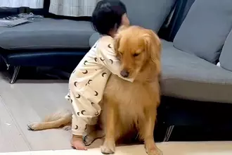 大型犬がいる家庭に『男の子が生まれた』結果→まるで『本当のお兄ちゃん』のように…尊すぎる『お世話』が154万再生「優しいね」「泣きそう」