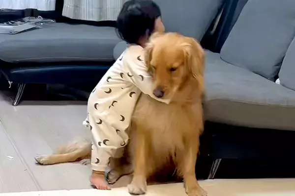 大型犬がいる家庭に『男の子が生まれた』結果→まるで『本当のお兄ちゃん』のように…尊すぎる『お世話』が154万再生「優しいね」「泣きそう」
