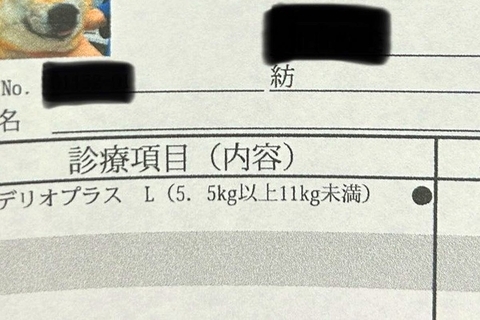 動物病院でもらった『診療明細書』→犬の顔写真も載っていて…まさかの『表情』に11万いいね集まる「最高に可愛いｗ」「履歴書みたいで良い」