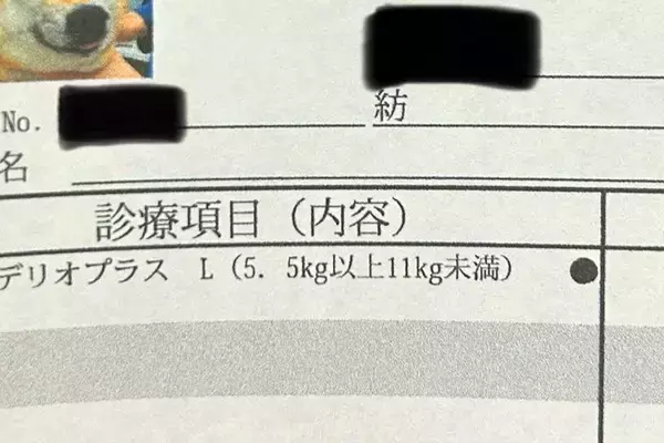 動物病院でもらった『診療明細書』→犬の顔写真も載っていて…まさかの『表情』に11万いいね集まる「最高に可愛いｗ」「履歴書みたいで良い」