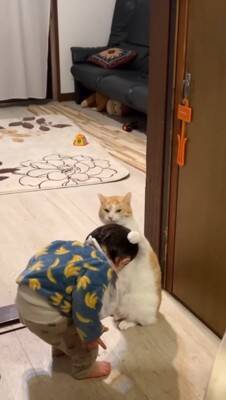 赤ちゃんが生まれてから1年間『大型犬と一緒に過ごした』結果…想像以上に『強く育った現在の姿』が18万再生「兄弟みたい」「素敵な関係」