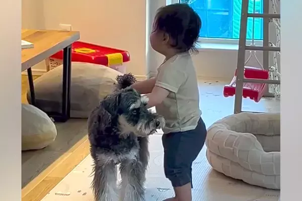 赤ちゃんが『散歩から帰ってきた犬』に近づいた結果→『何をするのかな』と撮影していたら…まさかの光景が38万再生「この歳で！」「面白すぎ」